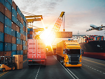 Export documentation and logistics challenges